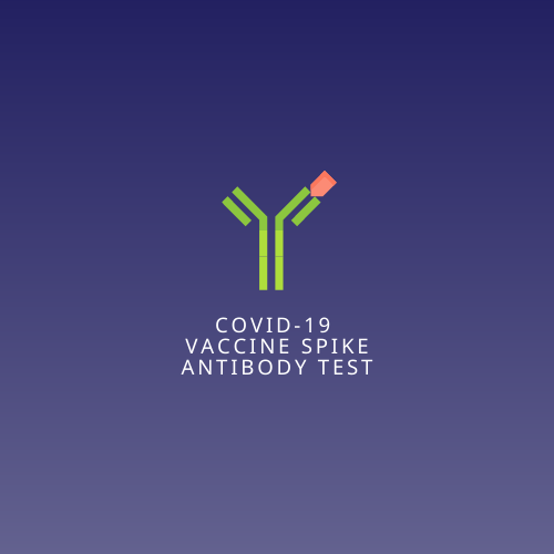 Covid 19 Vaccine Spike Antibody Test Zoomdoc Covid 19 Vaccine Spike Antibody Test Zoomdoc